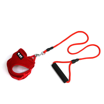 Dog Leash & Collar Set – Colourful Adjustable Lead for Large Dogs