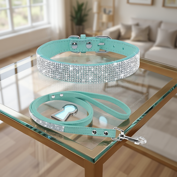 Fancy Dog Collar – Stylish Adjustable Collar for Small & Medium Dogs