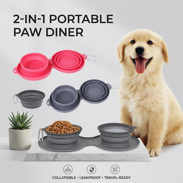 Collapsible Double Pet Bowl | Non-Slip Silicone Travel Bowls for Dogs & Cats