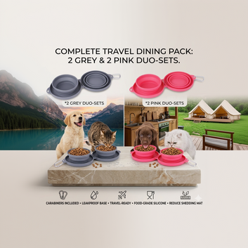Collapsible Double Pet Bowl | Non-Slip Silicone Travel Bowls for Dogs & Cats