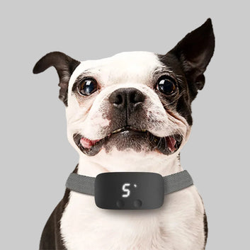 Dog Training Collar Automatic Bark Stopper & Waterproof