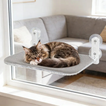Resting Bed Metal Frame for Dormitory Indoor Cats Space Saving