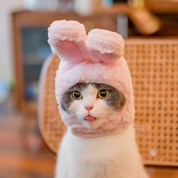 Cute Bear & Rabbit Hooded Pet Costume – Adorable Outfit for Cats & Dogs