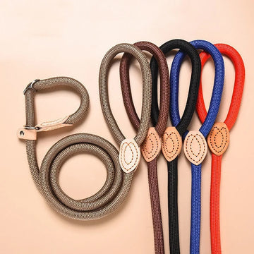 Dog Leash Slip Rope Lead Leash Heavy Duty