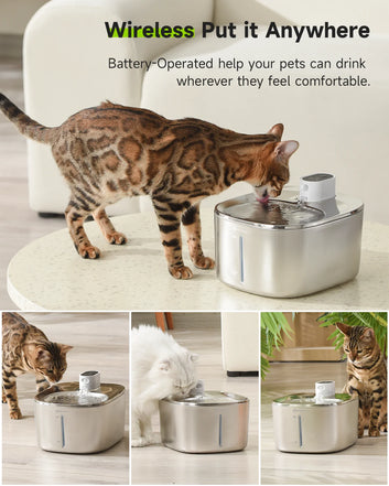 Cats Dog Drinker Pet Water Dispenser