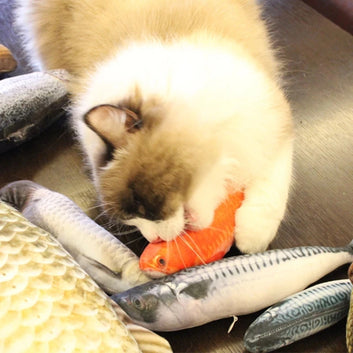Simulated Fish Cat Toy – Soft Plush Throw Pillow Chew Toy for Cats
