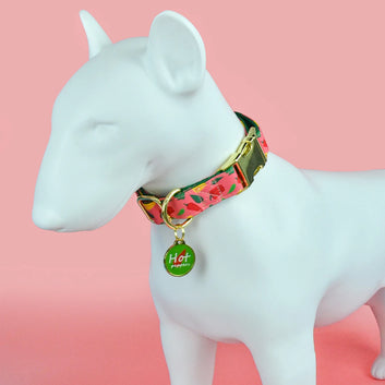 Pet Dog And Cat Pet Adjustable Collar