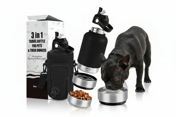 OKKPETS 32oz Stainless Steel Dog Water Bottle – Insulated 3-in-1 Travel Feeder