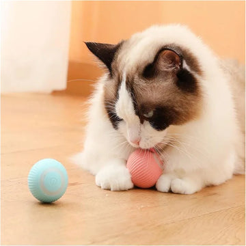 Pets Electric Rolling Teaser USB Rechargeable Kitty Moving Bouncing ball