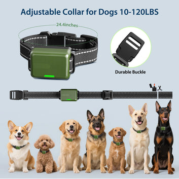 Dog Training Collar with Remote Innovative IPX7 Waterproof
